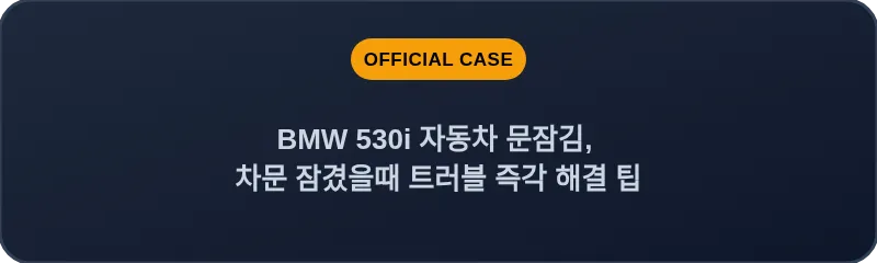 BMW 530i 자동차 문잠김, 차문 잠겼을때 트러블 즉각 해결 팁